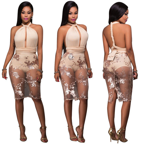 See Through Sequin Dress