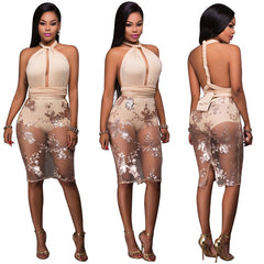 See Through Sequin Dress